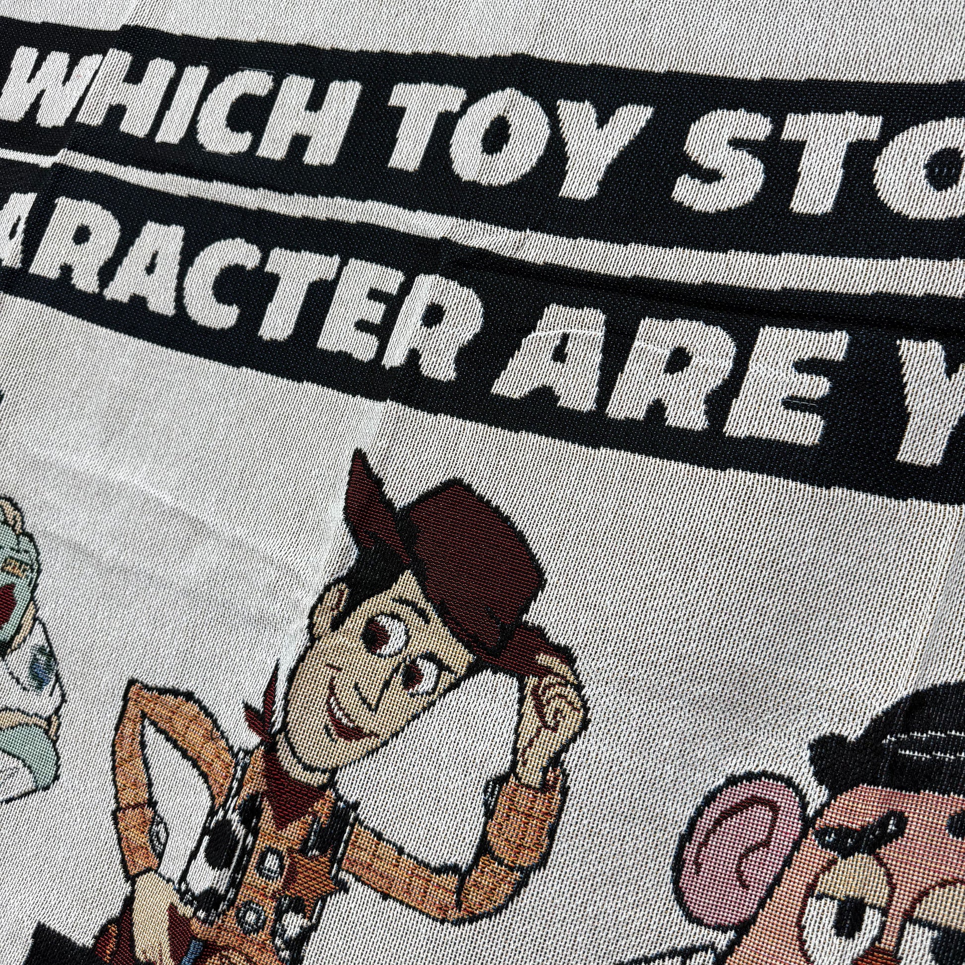 "Which Toy Story Character Are You?" Woven Tapestry | Pixar Fan Art Blanket - Fucolina