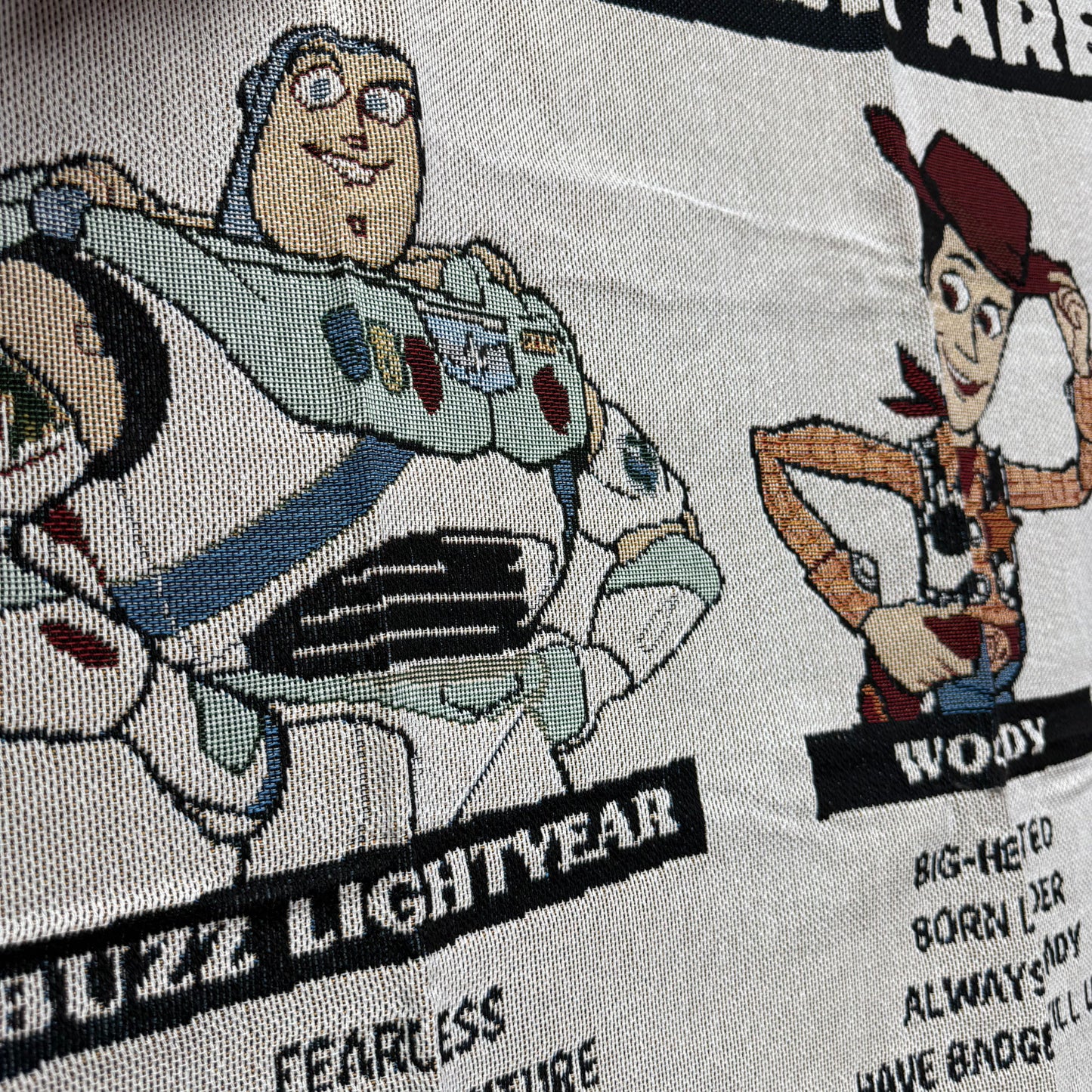 "Which Toy Story Character Are You?" Woven Tapestry | Pixar Fan Art Blanket - Fucolina